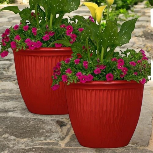 Beeline glossy red ribbed - beeline,
