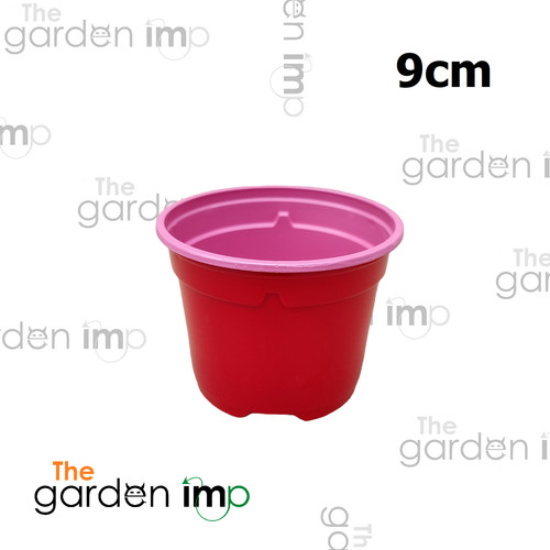 Coloured plastic plant pots - coloured,
