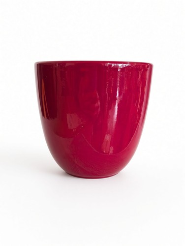 Red indoor plant - , 16cm