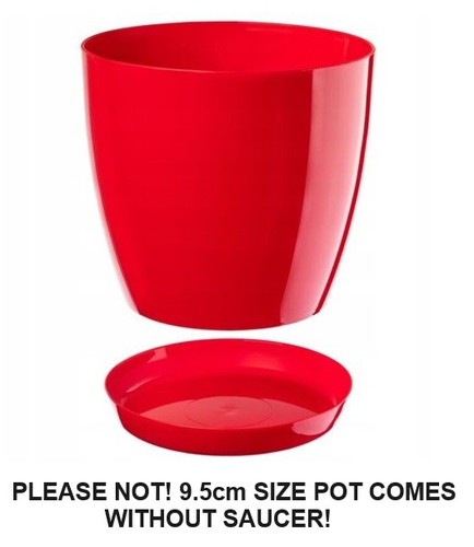 Plant flower pot plastic - plant,