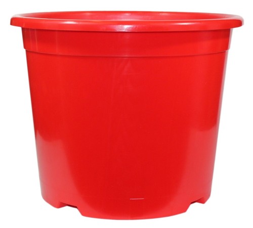 Red plant pot flower tomato - plant,