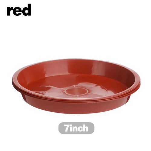 Plant pot saucers round - plant,
