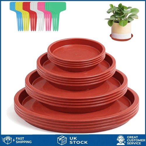Sturdy round plastic plant - plastic,
