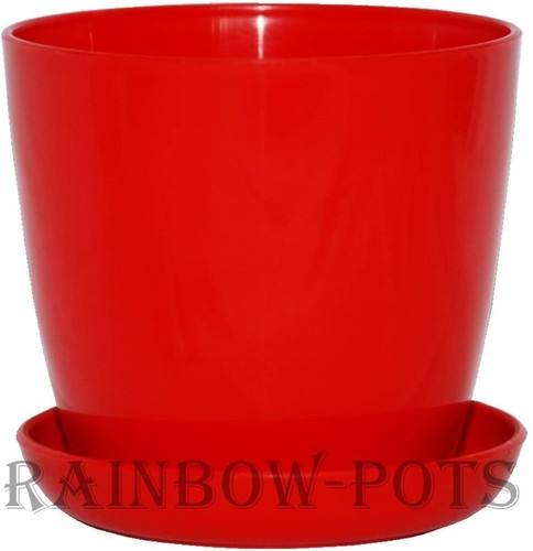 Flower pot colour gloss - flower,
