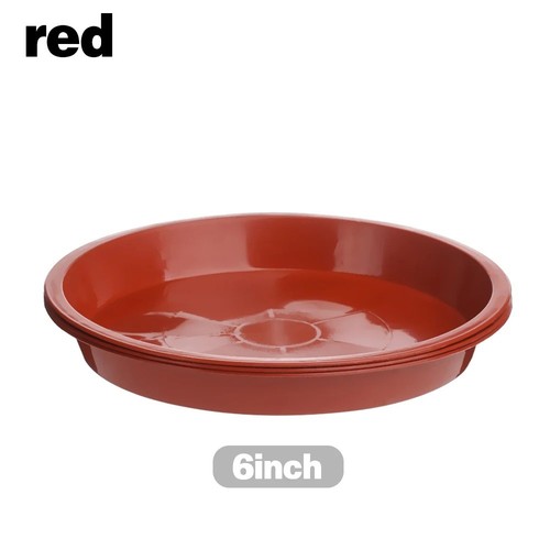 Plant pot saucers round - plant,