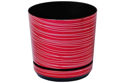 Plastic pots flower - flower, plant