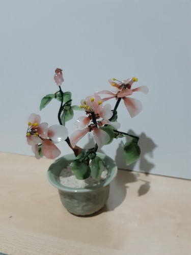 Small japanese style cherry - japanese,