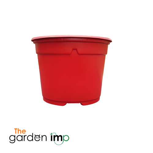 Coloured plant pots - coloured, plastic