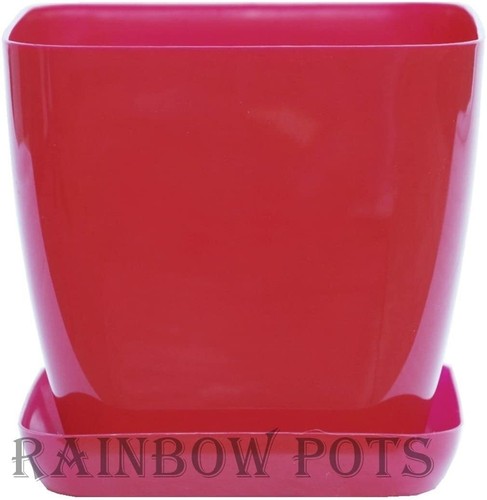 Plastic flower plant pots - plant,