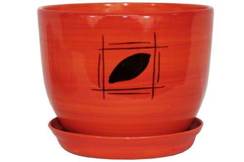 Ceramic plant pots - ,