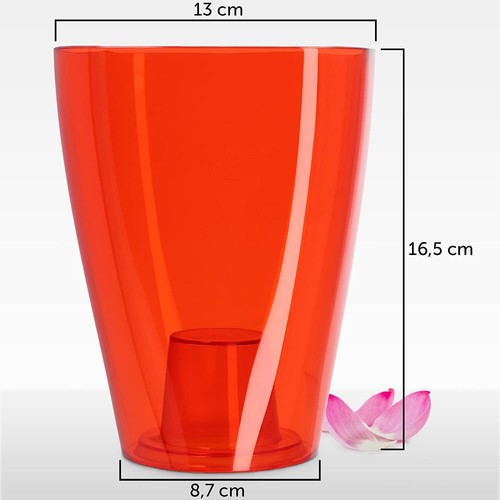 Plant orchid pot - plant,