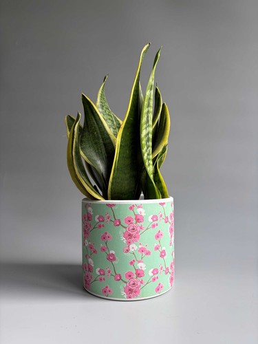Cherry blossom print - blossom,