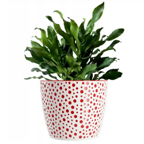 Flowerpot plant pot - , planter