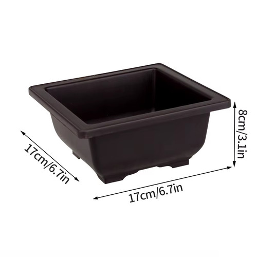 Rectangular bonsai plant pot - bonsai,