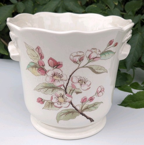 Large royal winton pottery - royal,