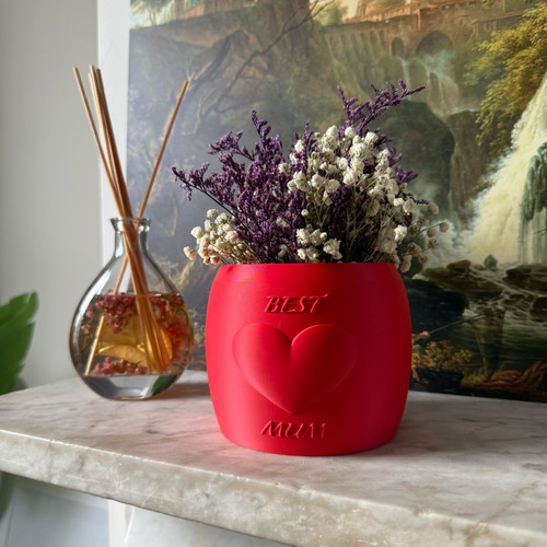 Best mum self watering plant - best,