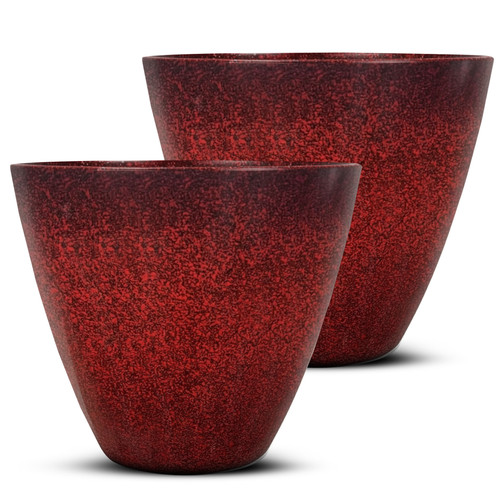 Plastic plant pots with - plant,