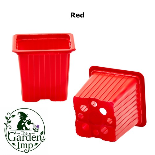 7cm square plastic - square, plant
