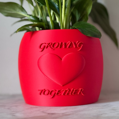 Self watering plant pot - plant,