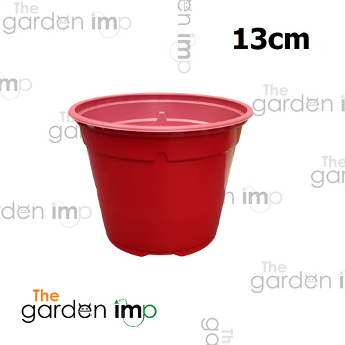 Coloured plastic plant pots - coloured,