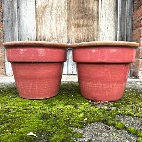 Terracotta plant pots pair