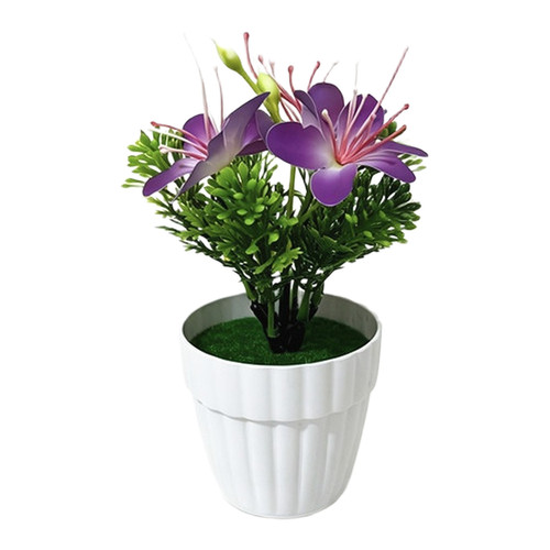 Indoor decorative for cherry - indoor,