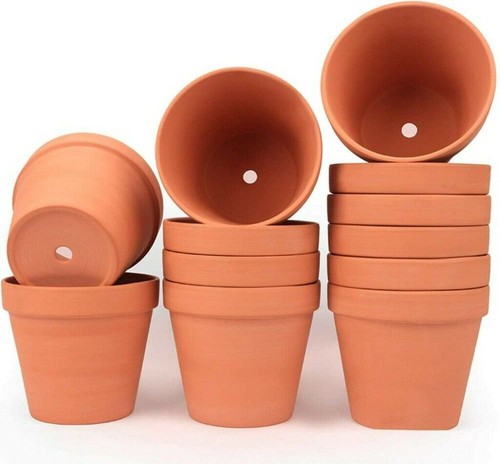 10pcs 8cm terra cotta - cotta, plant