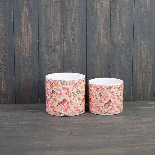 Cherry blossom birds - cherry,